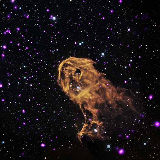 X-ray, Optical & Infrared Images of IC 1396A When radiation and winds from massive young stars impact clouds of cool gas, they can trigger new generations of stars to form. This is what may be happening in this object known as the Elephant Trunk Nebula (or its official name of IC 1396A). X-rays from Chandra (purple) have been combined with optical (red, green, and blue) and infrared (orange and cyan) to give a more complete picture of this source.  (Credit: X-ray: NASA/CXC/PSU/Getman et al, Optical: DSS, Infrared: NASA/JPL-Caltech)