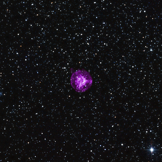 X-ray & Infrared Images of SNR B0049-73.6 The details of how massive stars explode remains one of the biggest questions in astrophysics. Located in the neighboring galaxy of the Small Magellanic Cloud, this supernova, SNR B0049-73.6, provides astronomers with another excellent example of such an explosion to study. Chandra observations of the dynamics and composition of the debris from the explosion support the view that the explosion was produced by the collapse of the central core of a star. In this image, X-rays from Chandra (purple) are combined with infrared data from the 2MASS survey (red, green, and blue).  (Credit: X-ray: NASA/CXC/Drew Univ/S.Hendrick et al, Infrared: 2MASS/UMass/IPAC-Caltech/NASA/NSF)